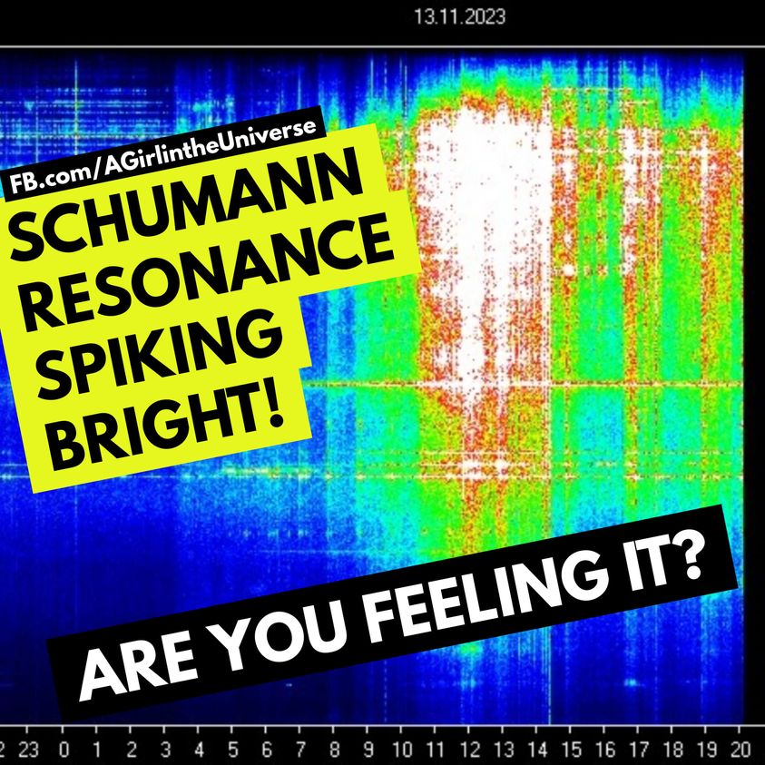 Schumann-Resonanz-Spikes, Sonnenwinde und weitere Sonneneruptionen. Sherri Smith