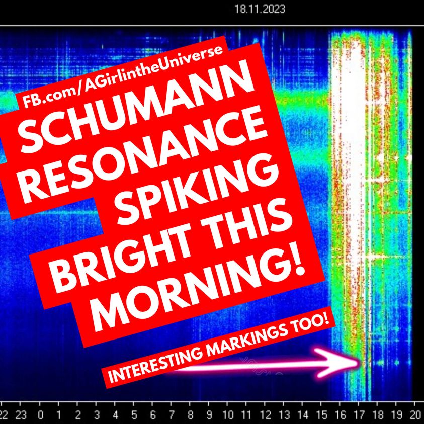 Heute, am 18.11.2023 hat um 4 Uhr morgens die Schumann Resonanz Aufzeichnung begonnen, interessante weiße Aufzeichnungsspitzen darzustellen. Sherri Smith