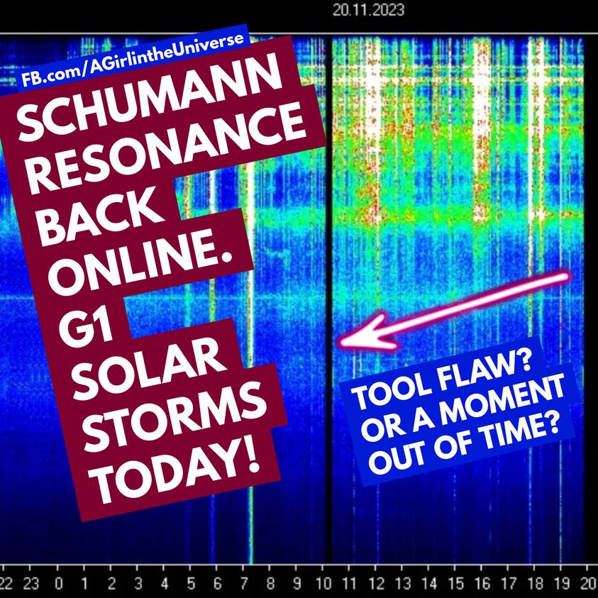 Die Schumann-Resonanz-Aufzeichnung war das ganze Wochenende sehr aktiv und bunt 😉 Sherri Smith