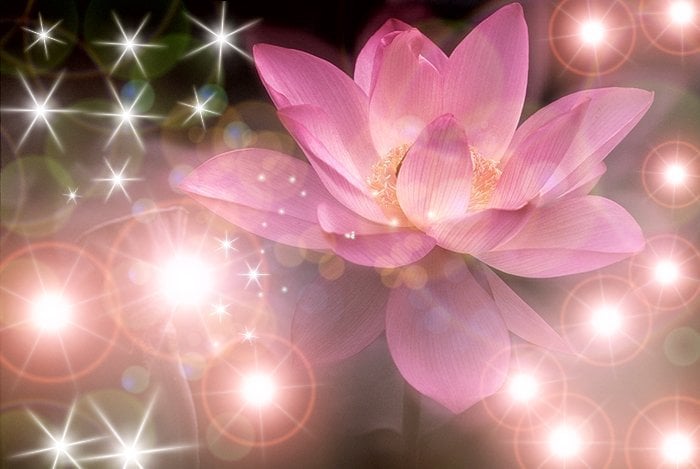 Unendliches Licht des Universums, DAS AUCH DU BIST. Nicky Hamid