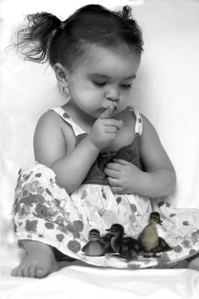 LIEBE. Nicky Hamid