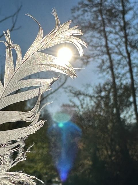 Klarheit wechselt heute mit Benommenheit. Nimm es trotz allem gelassen. Margit Kaufmann AKTUALISIERUNG 15 Uhr