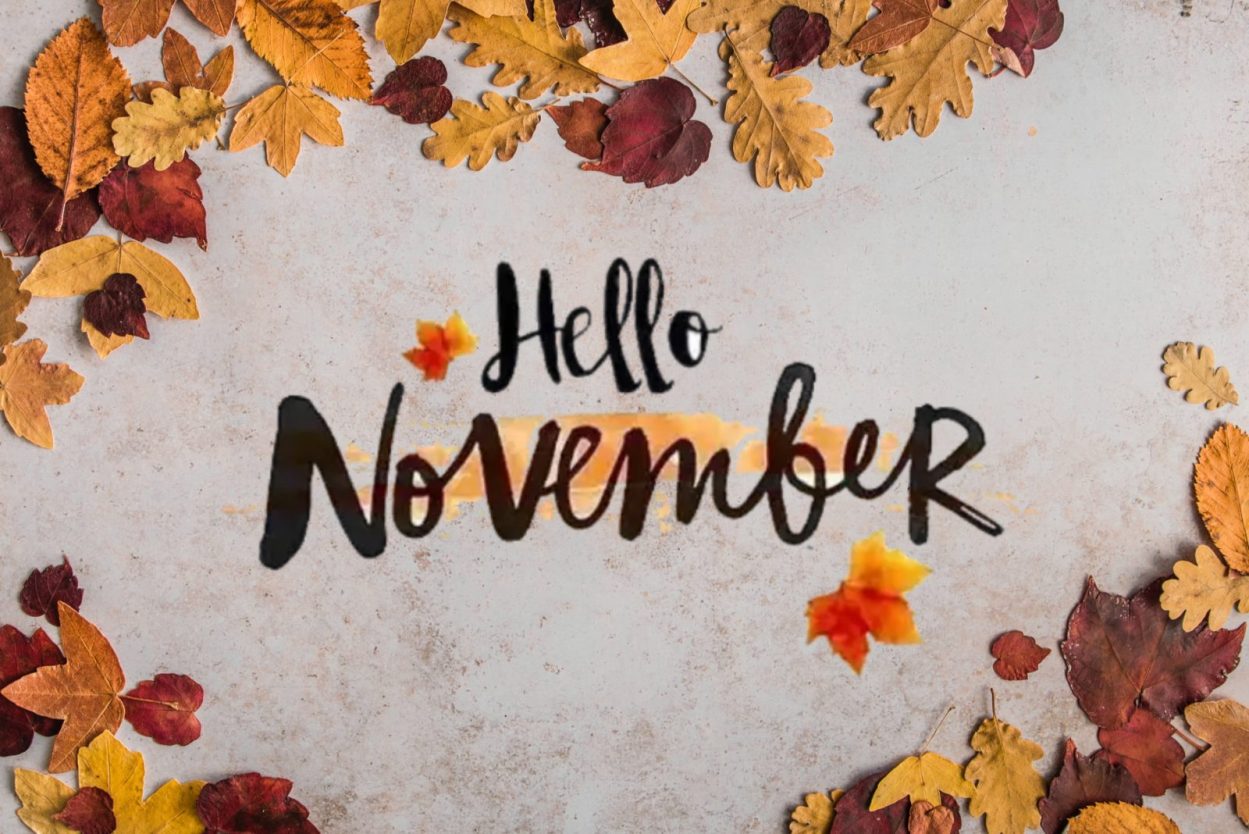 Diana Coopers Newsletter vom November 2023