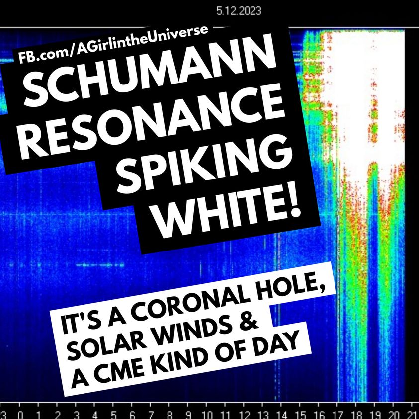 Schumann-Resonanz-Weiße-Spitzenwert-Felder … gleich zu Beginn unseres Tages. Sherri Smith