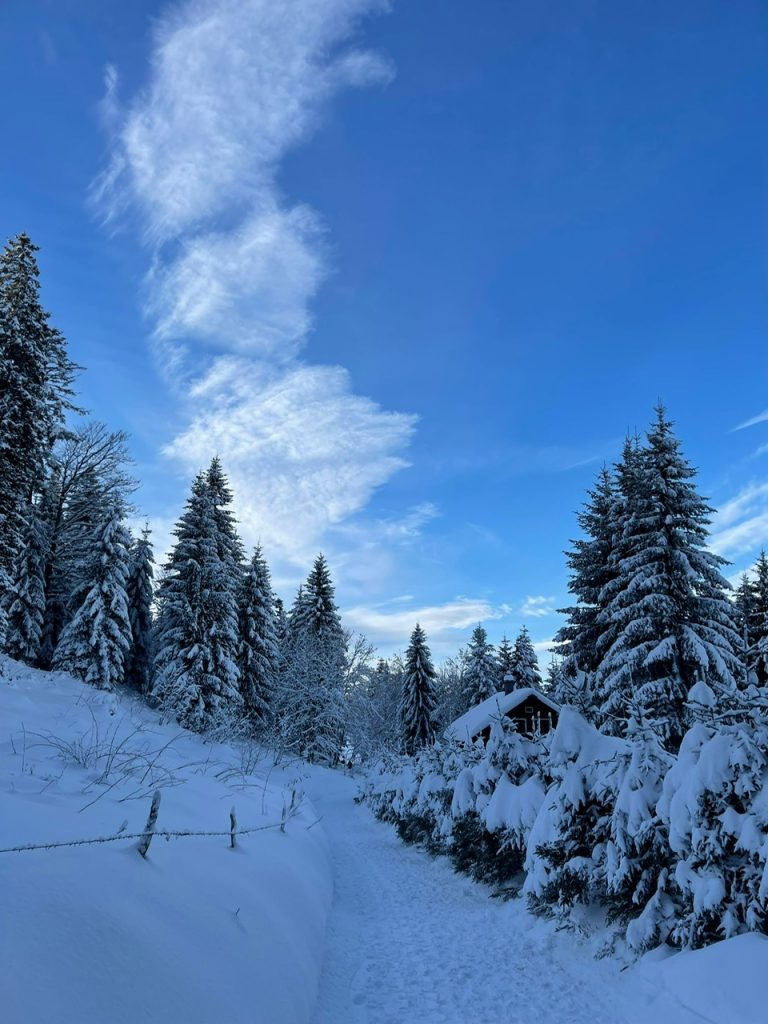 Wahrheit kehrt nun dreimal so viel ans Licht. Margit Kaufmann