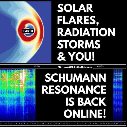 Die Schumann Resonanz ist wieder online. Die Zeit bewegt sich schneller. Sherri Smith