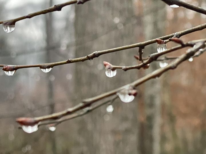 Das WESENTliche lässt dein wahres WESEN erwachen. Adelheid Brunner