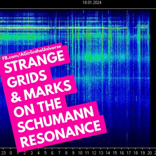 Aktuelles Schumann-Frequenz-Aufzeichnungs-Muster. Sherri Smith