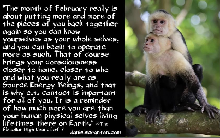 Die Februar 2024 Energien ∞ Der Plejadische Hohe Rat der 7, gechannelt von Daniel Scranton. 31.01.2024