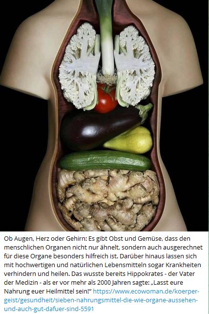 Krass, so ähnlich sehen diese Nahrungsmittel Organen!