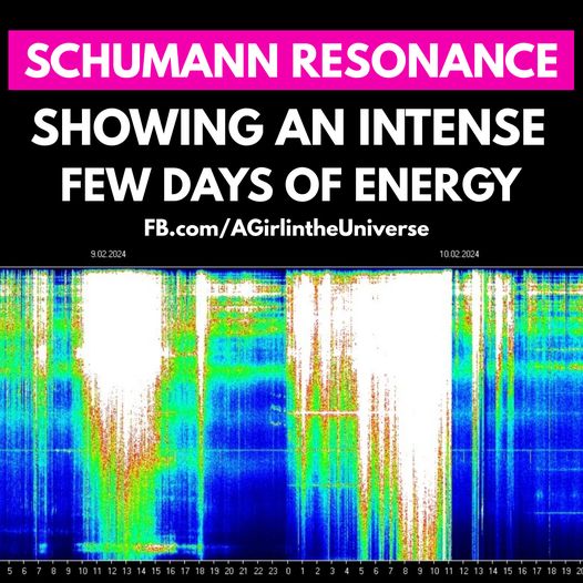 Schumann-Resonanz-Spitzen der letzten zwei Tage. Sherri Smith