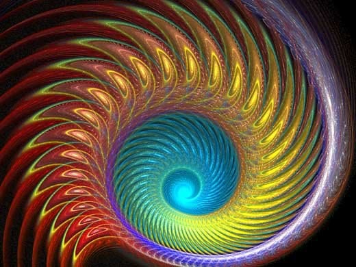 Eine einfache, bewusste und souveräne Entscheidung. Nicky Hamid