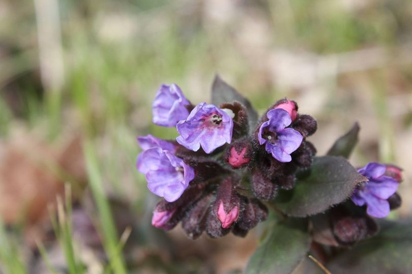 Februar Ausklang – Altlasten und Neubeginn – „Leg den Schalter um “ Adelheid Brunner
