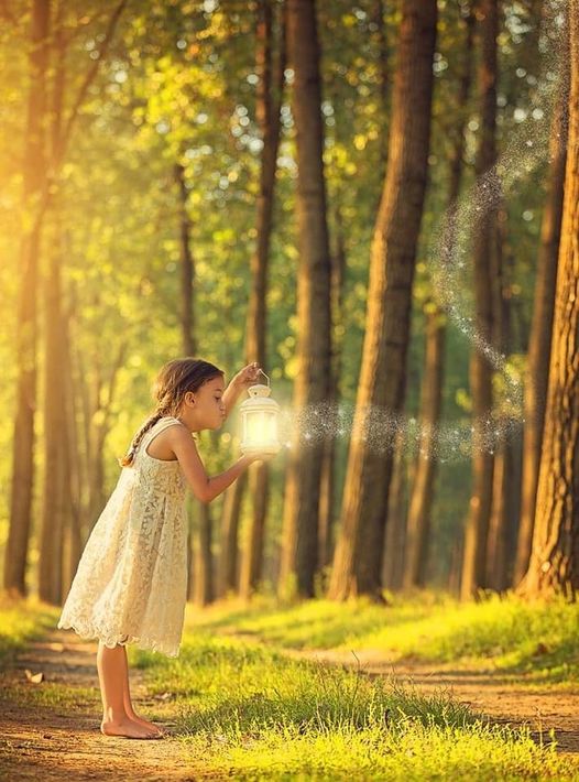 Wähle Liebe über Furcht: Einladung zur inneren Stille und Transformation. Nicky Hamid