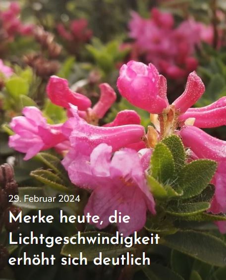 Merke heute, die Lichtgeschwindigkeit erhöht sich deutlich. Margit Kaufmann