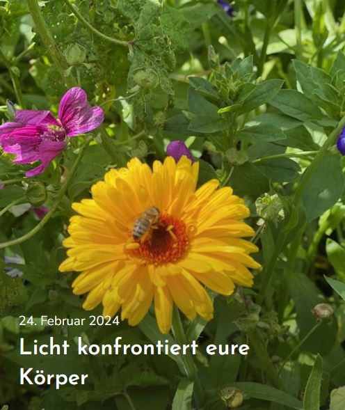 Licht konfrontiert eure Körper. Margit Kaufmann