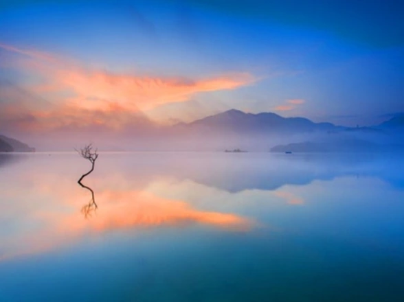 Stille. Jennifer Farley