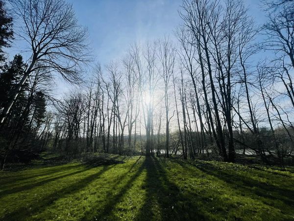 Deinen Weg wählen. Adelheid Brunner