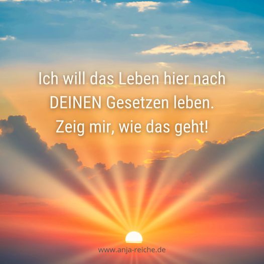 Meine Wahl, dieses Leben hier auf der Erde nach den göttlichen, universellen Gesetzen zu leben, steht. Ich erkenne nur diese „Regierung“ an und sonst keine. Anja Reiche