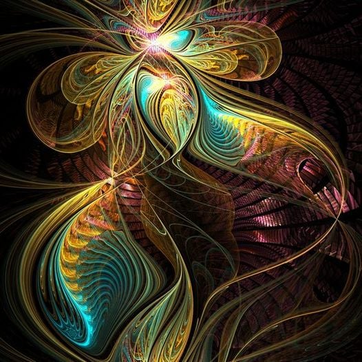 Der Moment des Erwachens: Eine Reise in die 5. Dimension. Nicky Hamid