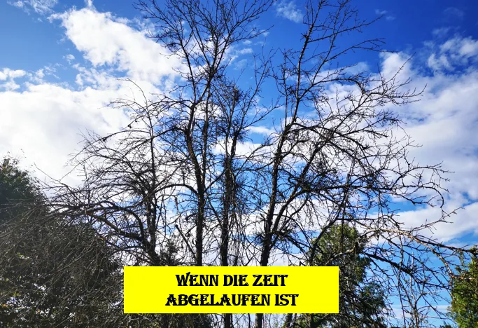 Der energetische Kipppunkt und die Todeswelle. Egon Fischer