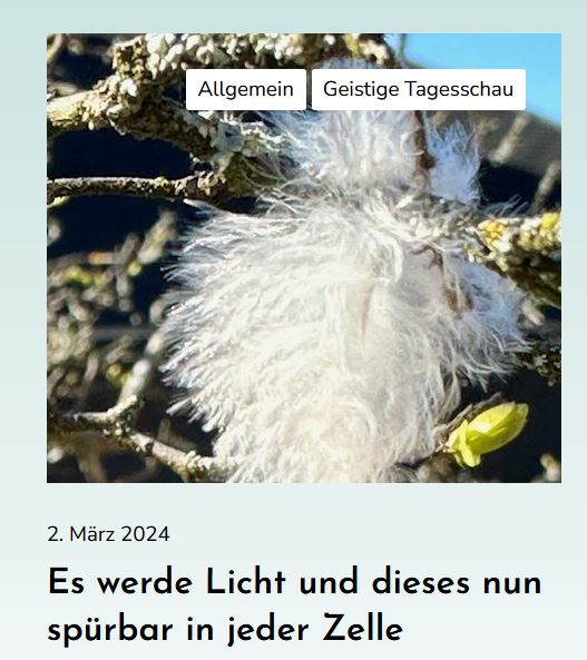 Es werde Licht und dieses nun spürbar in jeder Zelle. Margit Kaufmann