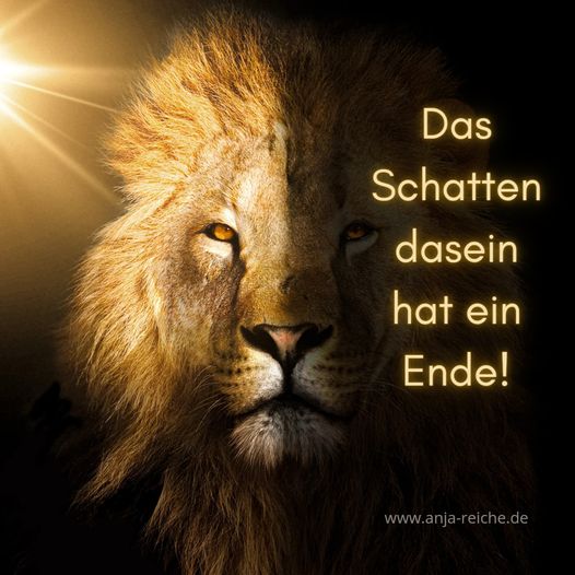 „It’s not your job to awaken all sheep. Anja Reiche