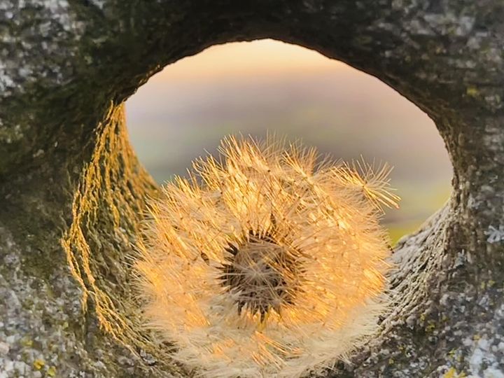 Licht am Ende des Tunnels. Adelheid Brunner