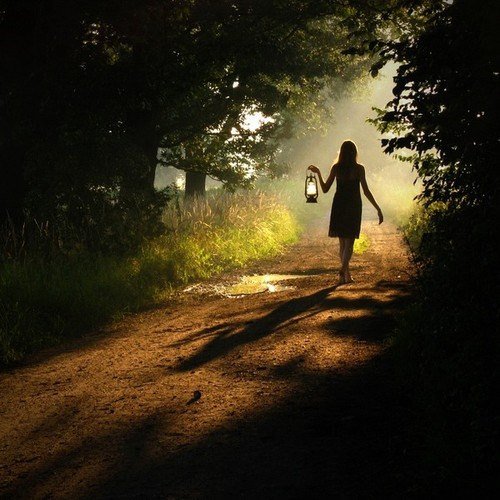 Ich wähle LICHT. Nicky Hamid