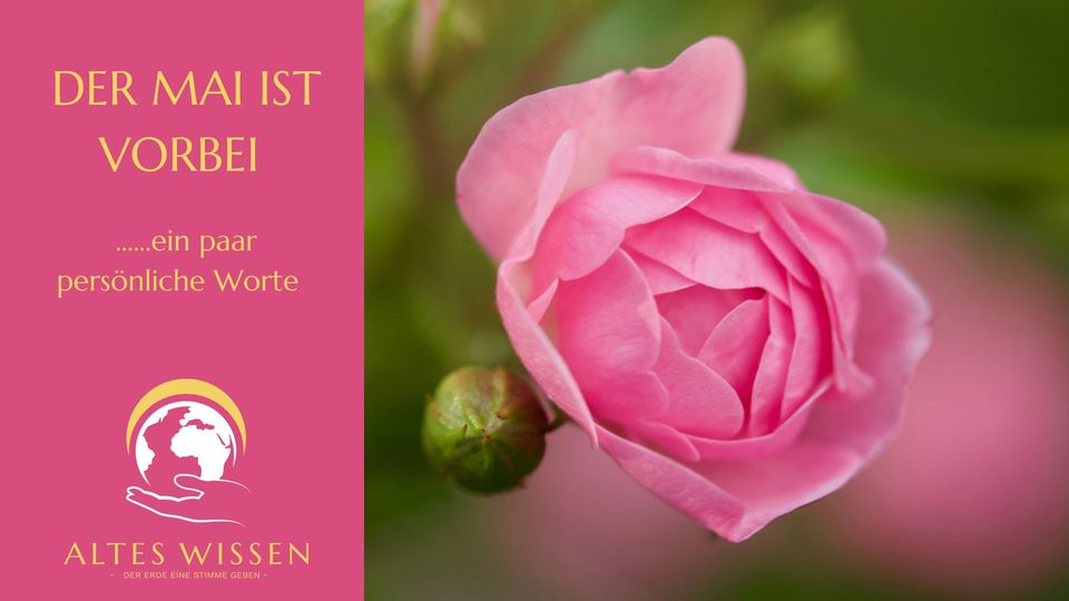 Willkommen Juni. Adelheid Brunner
