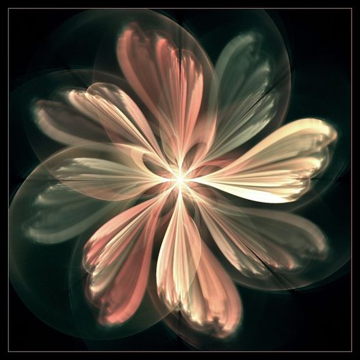 Die Farben des Herzens II. Nicky Hamid