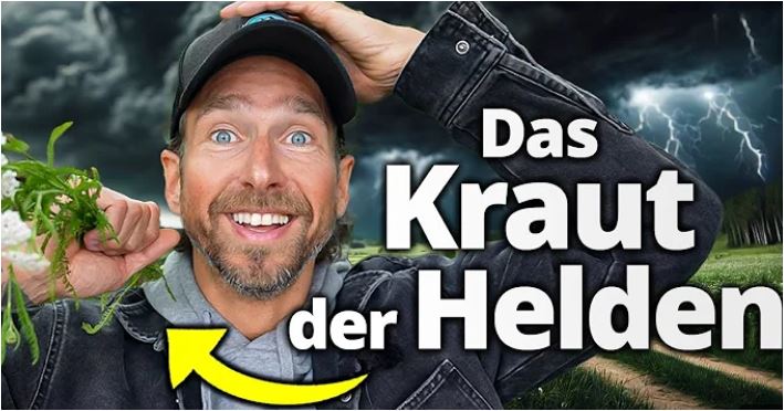 Vorsicht episch: Aus DIESEM Kraut werden Helden gemacht. Timo G.