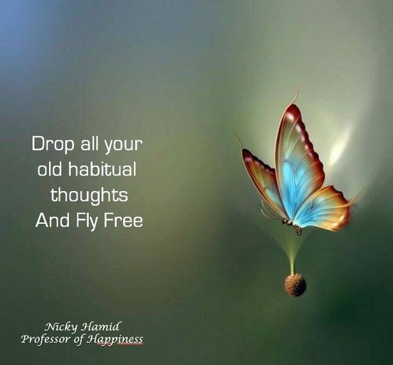 Lass deine alten, gewohnheitsmäßigen Gedanken fallen und fliege frei. Nicky Hamid