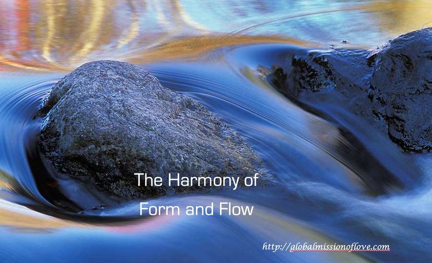 Die Harmonie von Form und Bewegung. Nicky Hamid