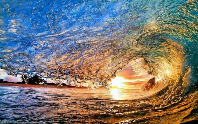 Die Kraft des Bewusstseins: Öffne dich für die Wunder des Universums. Nicky Hamid
