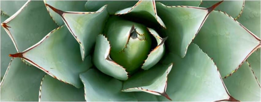 Was ist eure Wahrheit? Ann Albers