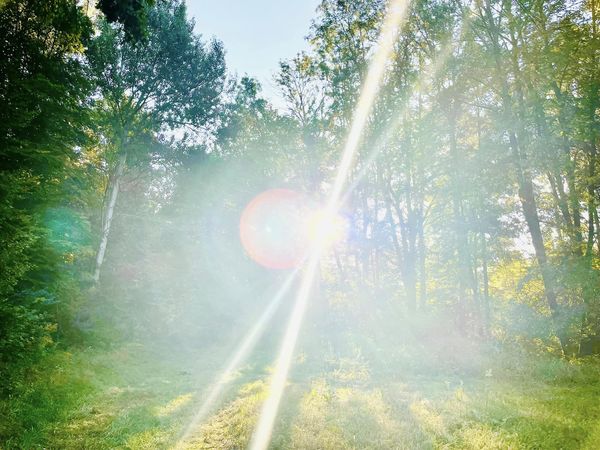 ZWIELICHT und neue Lichtfrequenzen. Adelheid Brunner