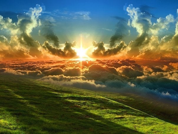 Die Erde IST der Planet der Liebe. Nicky Hamid