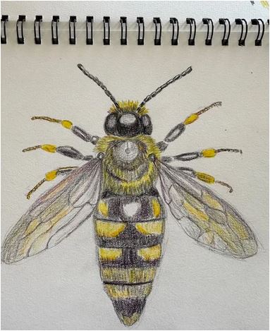 Celia’s Blog – 9. März 2025