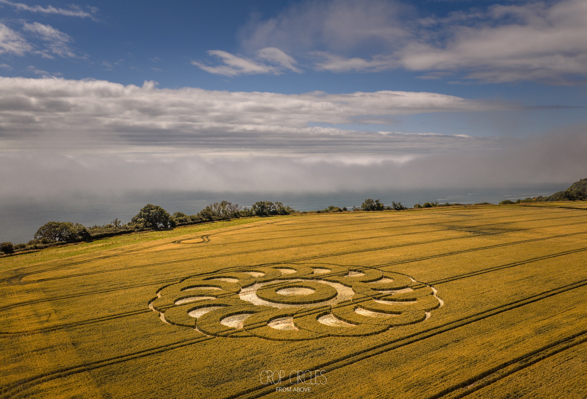 Kornkreis. Devon. UK. 28/6/25