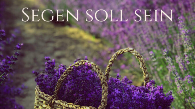 Inselbrief-08-2025-Segen-soll-sein_-768x577