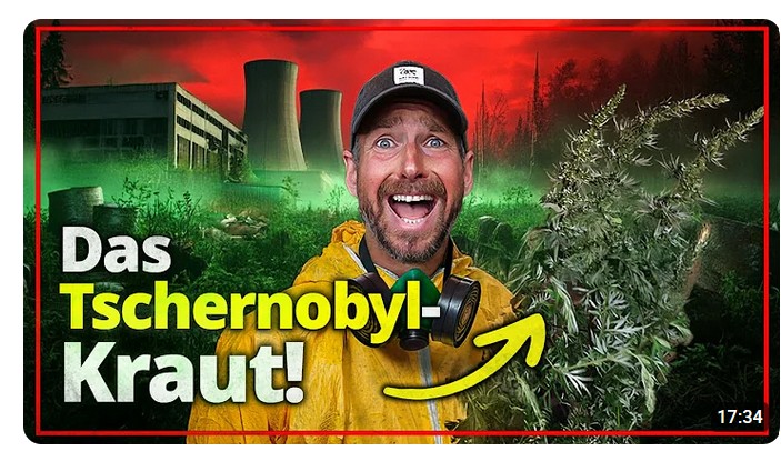 Artemisia: Ihr glaubt nicht, was ich über Beifuß herausgefunden habe! Timo G.