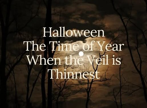 571311600_1338567064342205_7751832642877385145_n