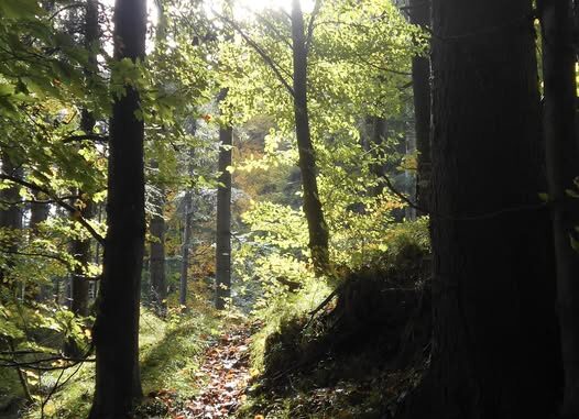 571319240_25598068296552352_8165591709244223597_n