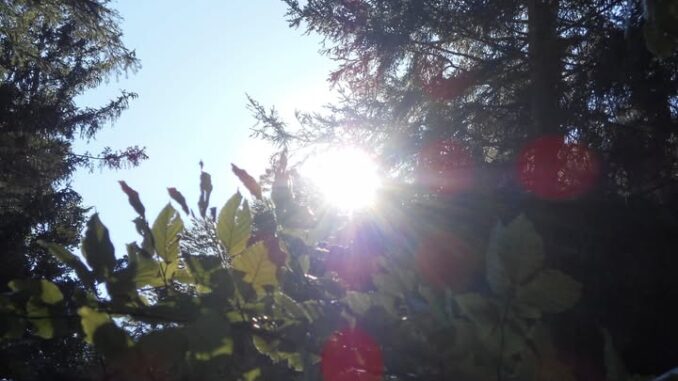 571358364_25616028634756318_3130796793186505460_n