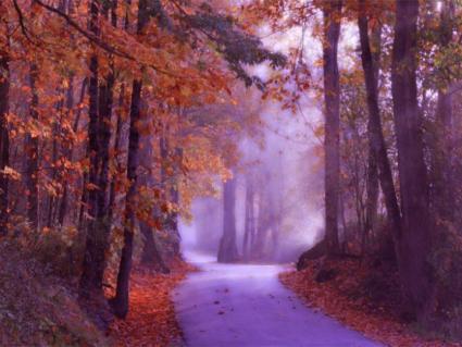 backroad-2