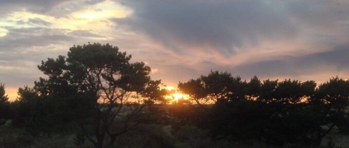 cropped-IMG_0668