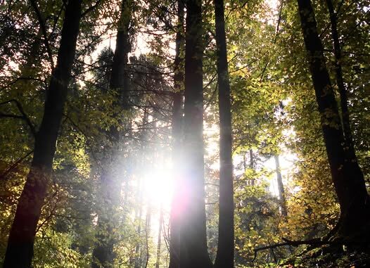 572375591_25634630272896154_846118500109774960_n