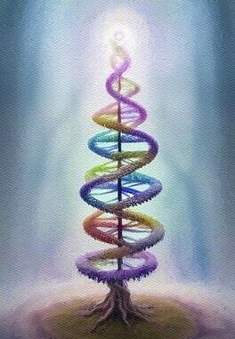 573333653_2337189270049505_5303227490922087477_n