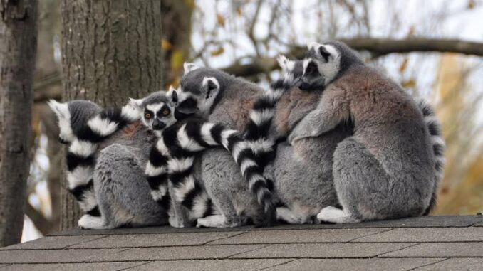 574448124_25518671024391884_4034928971138683550_n